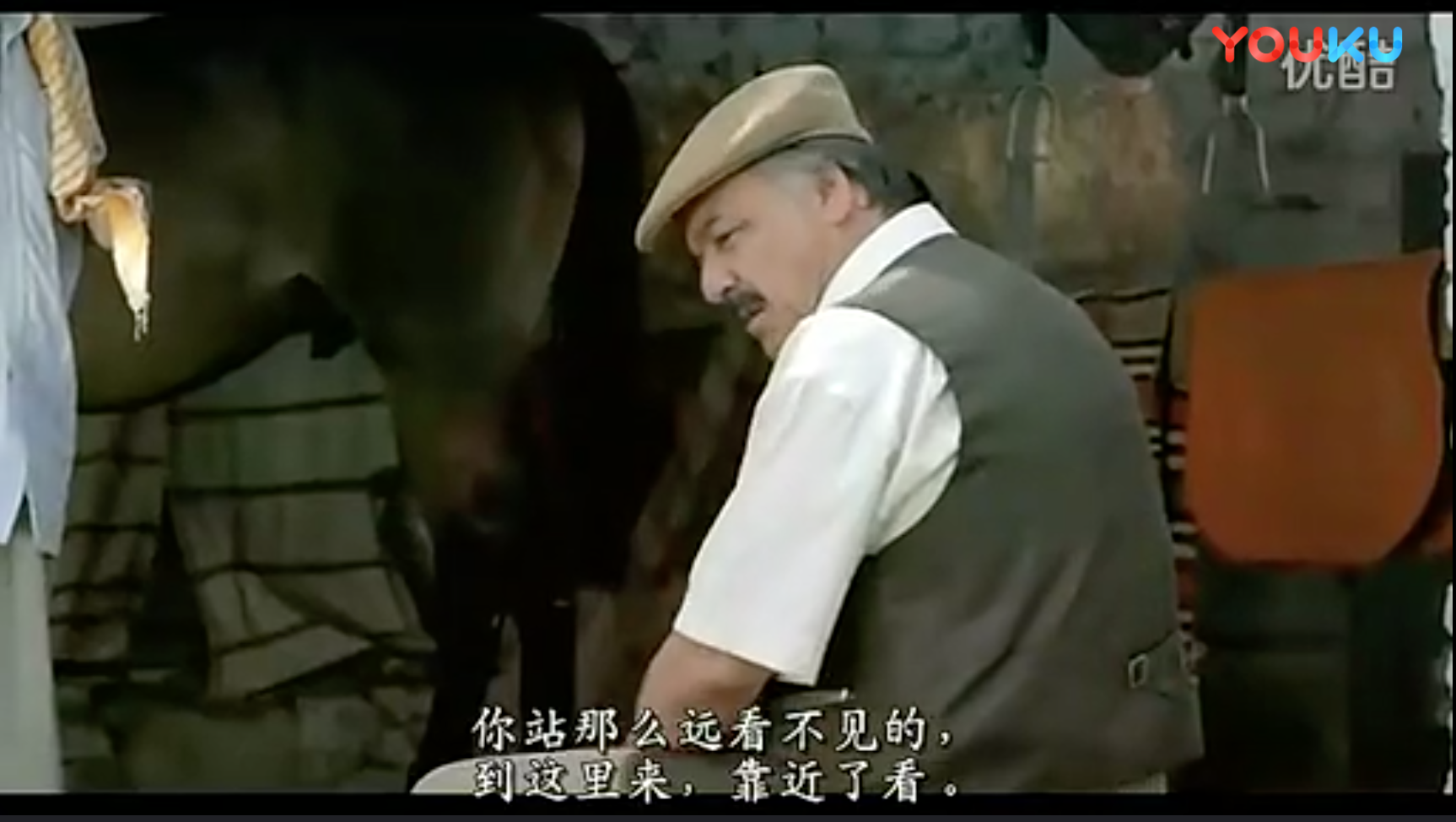 马厩看马